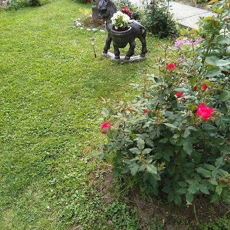 Apartament Pepa Zg Zagrzeb Zewnętrze zdjęcie
